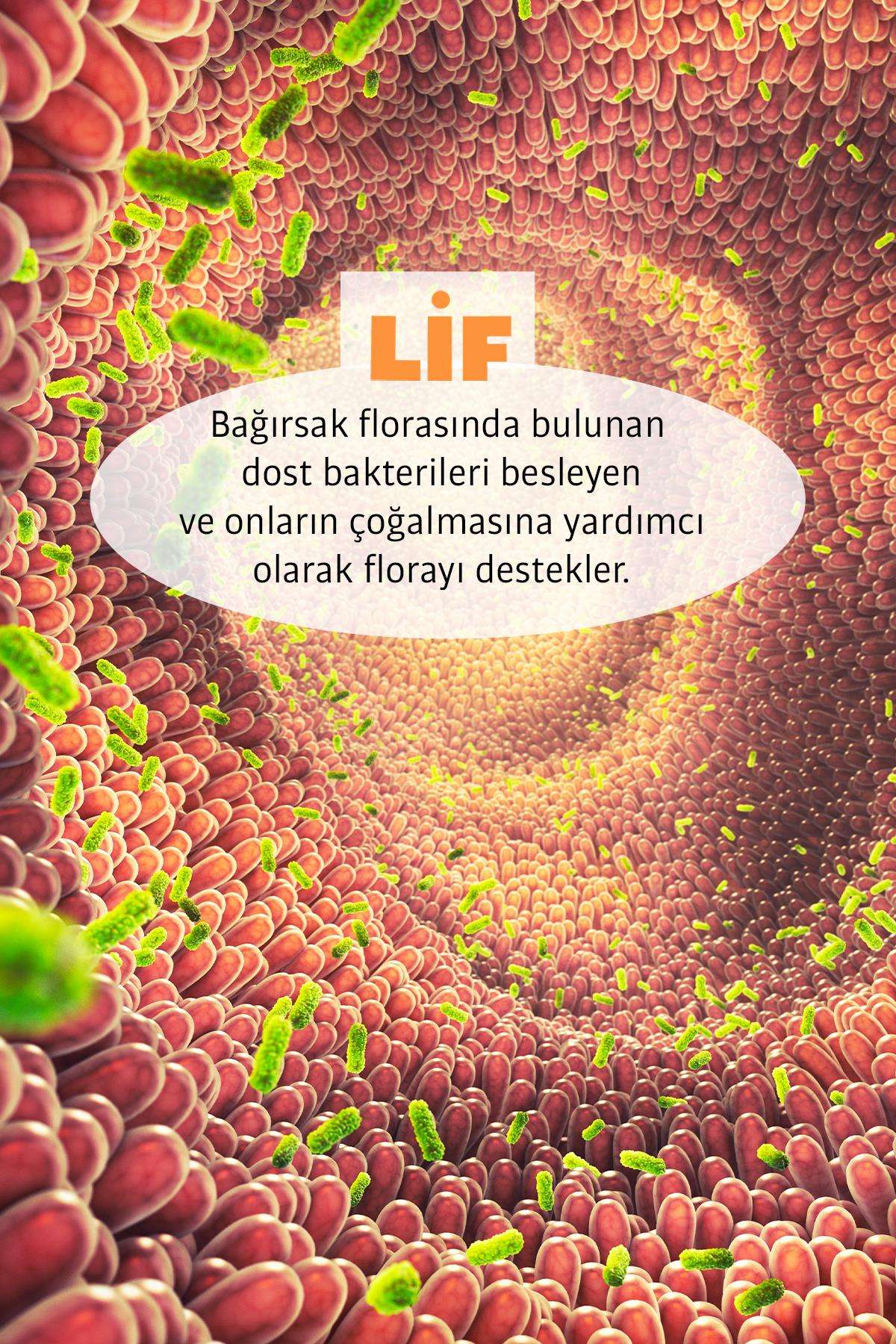 Erbatab%20Fiber%20Komplex%20Prebiyotik%20250%20GR