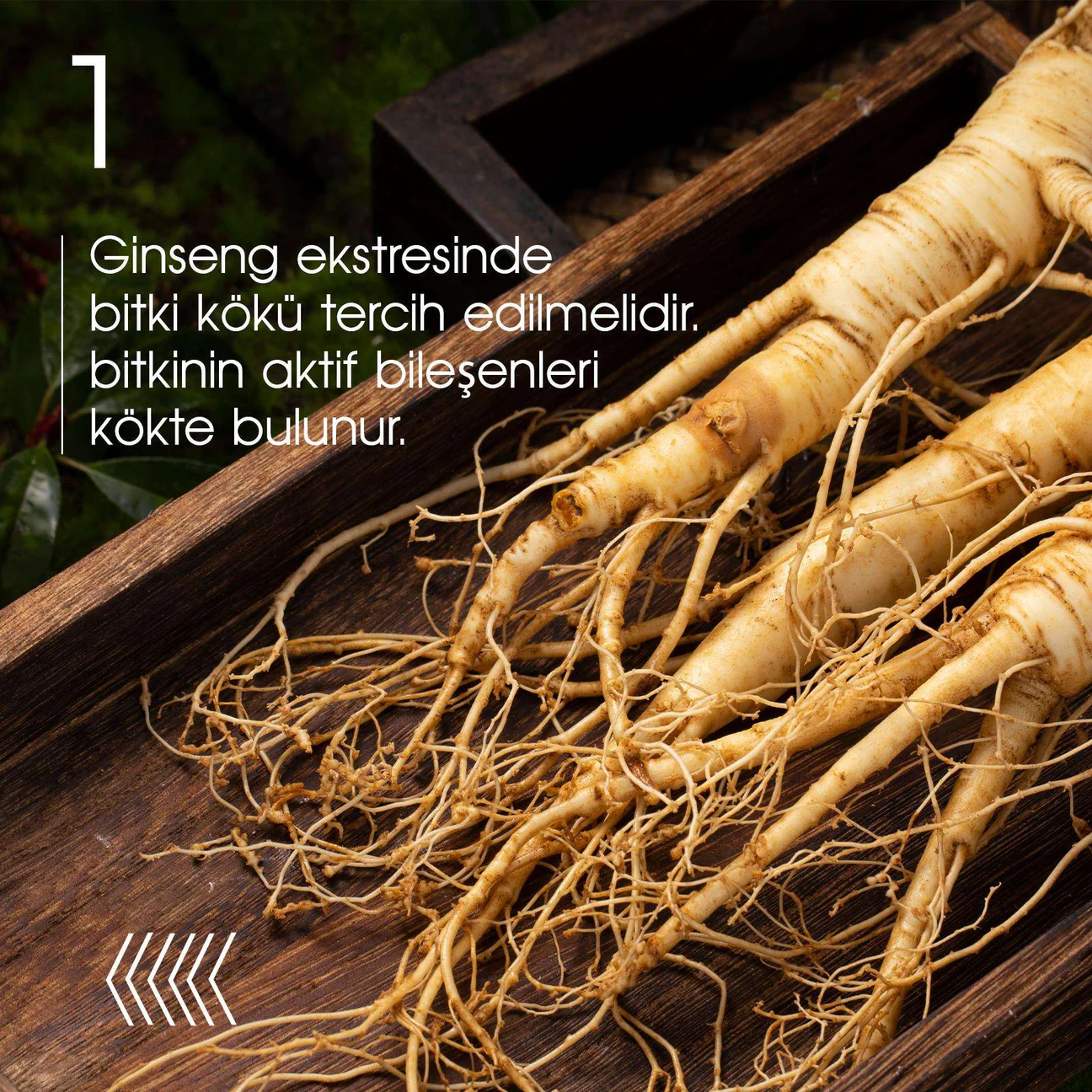 Erbatab%20Kırmızı%20Kore%20Ginsengi%20Ekstresi%20Korean%20Gınseng%2060%20Kapsül