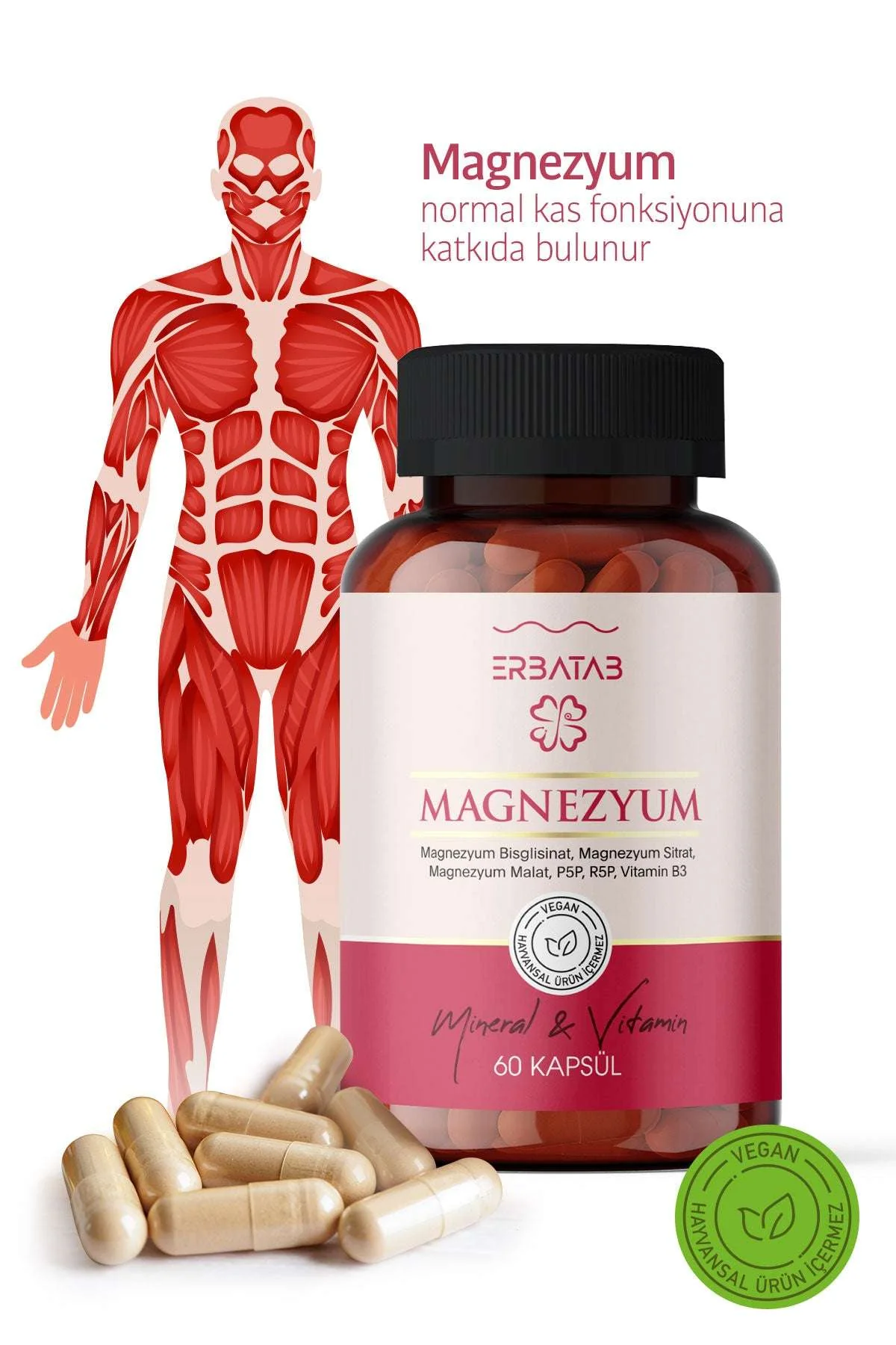 Erbatab%20Magnezyum%203%20lü%20Form%20(Bisglisinat,%20Sitrat,%20Malat)%20&%20Vitamin%20B2%20,%20B3%20,%20B6%20-%2060%20Kapsül