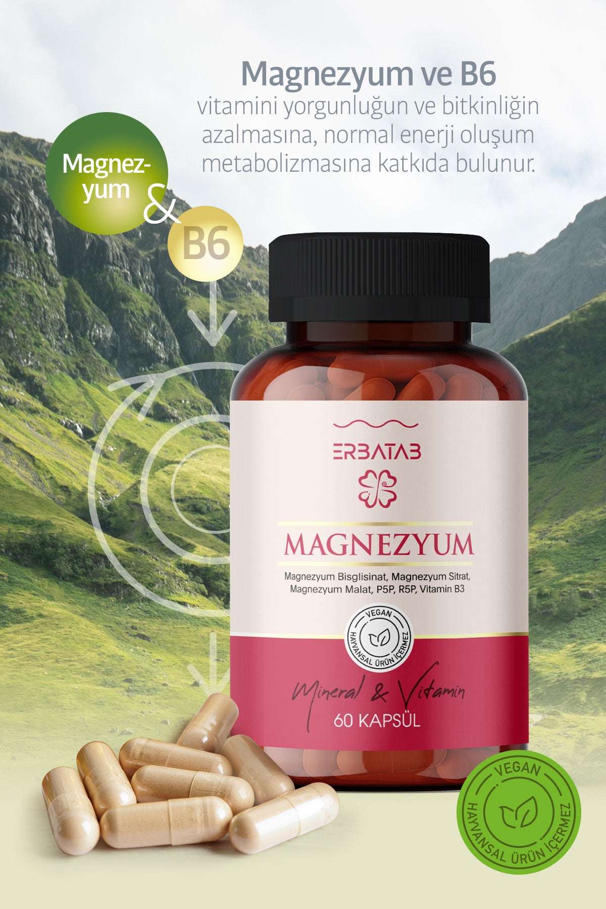 Erbatab%20Magnezyum%203%20lü%20Form%20(Bisglisinat,%20Sitrat,%20Malat)%20&%20Vitamin%20B2%20,%20B3%20,%20B6%20-%2060%20Kapsül