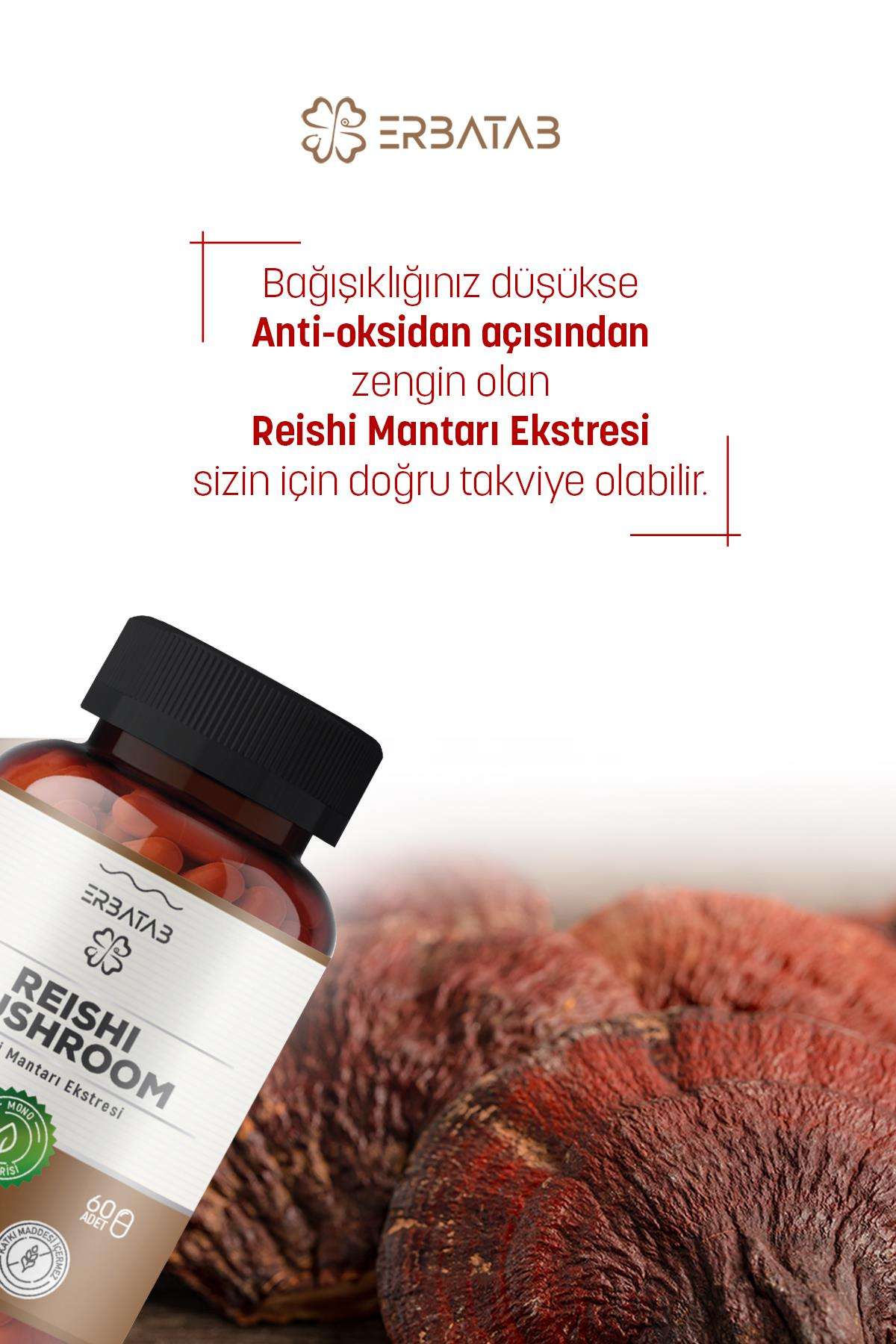 Ertabab%20Reishi%20Mantarı%20Ekstresi%20Reishi%20Mushroom%2060%20Kapsül