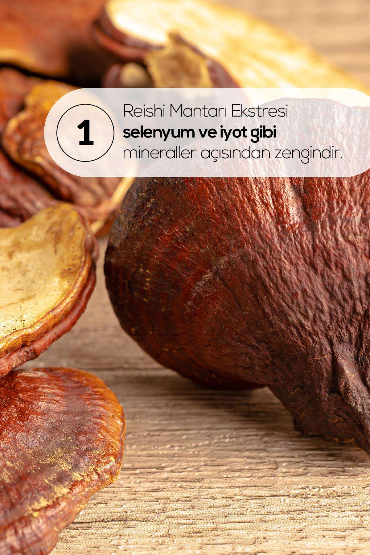 Ertabab%20Reishi%20Mantarı%20Ekstresi%20Reishi%20Mushroom%2060%20Kapsül
