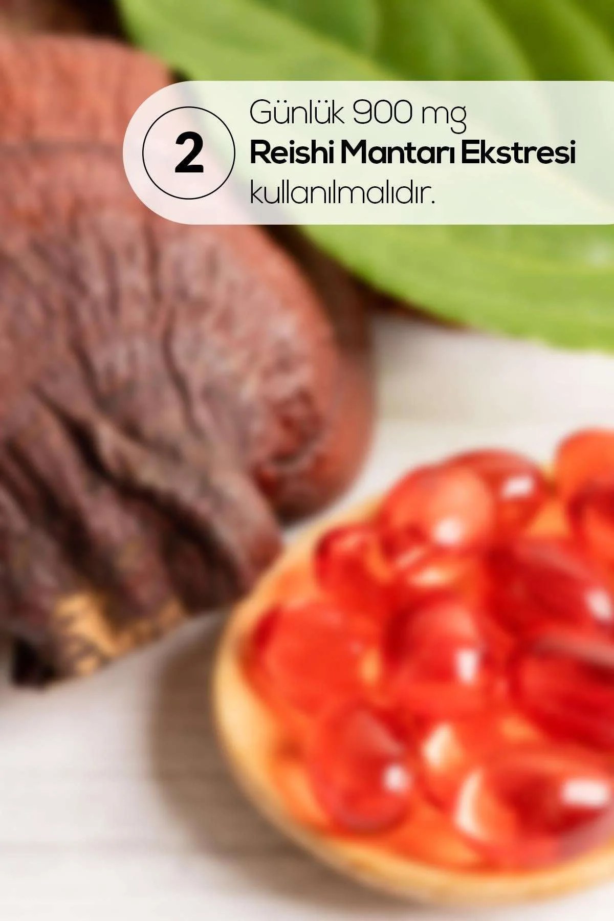 Ertabab%20Reishi%20Mantarı%20Ekstresi%20Reishi%20Mushroom%2060%20Kapsül