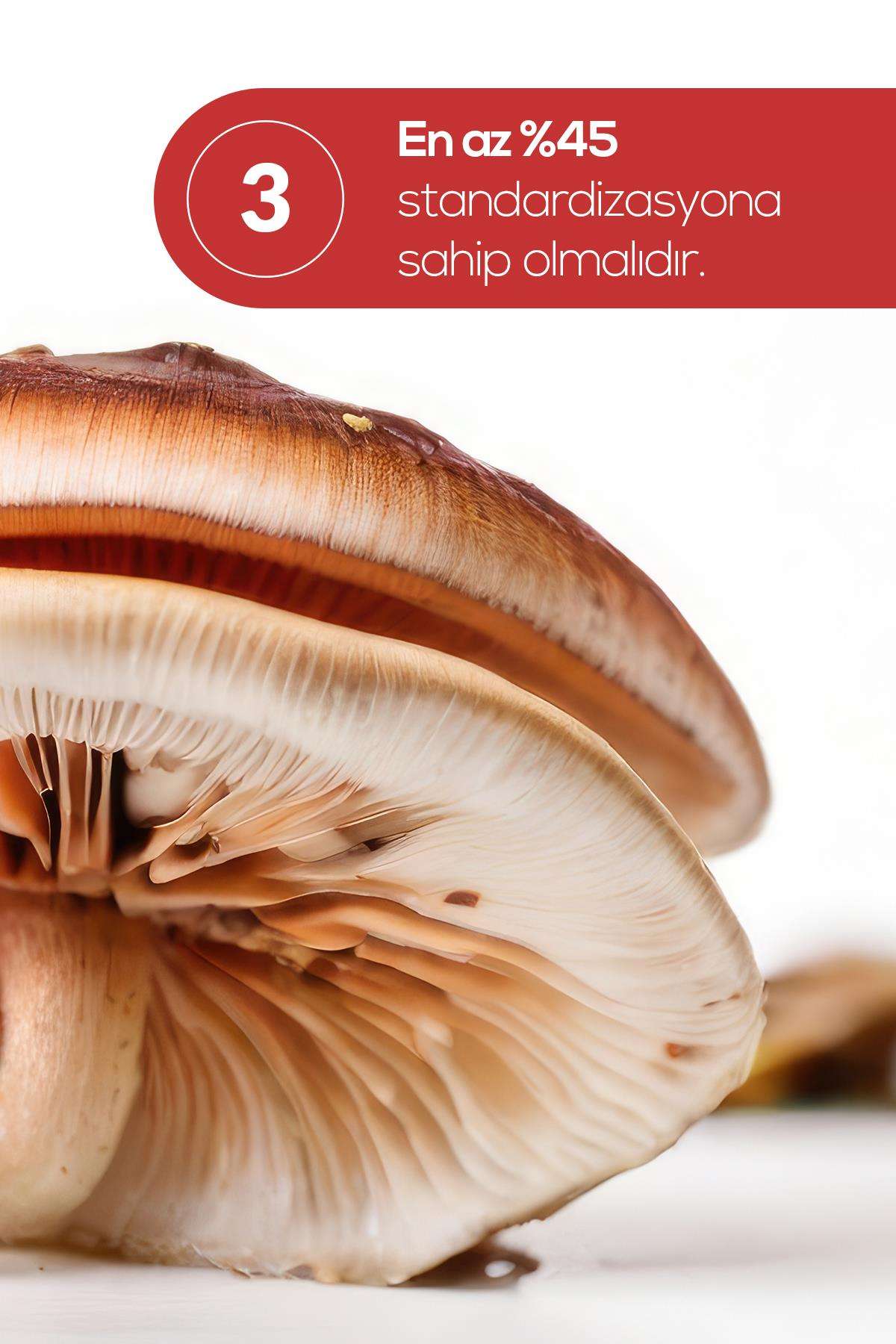 Ertabab%20Reishi%20Mantarı%20Ekstresi%20Reishi%20Mushroom%2060%20Kapsül
