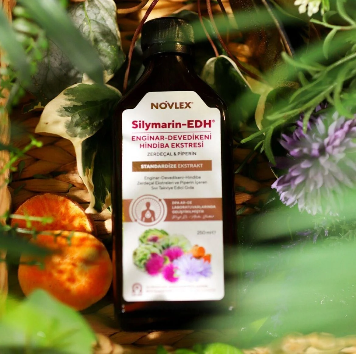 Novlex®%20Silymarin-Edh%20Enginar,%20Devedikenı%20(%80),%20Hindiba%20Ekstresi%20250%20Ml