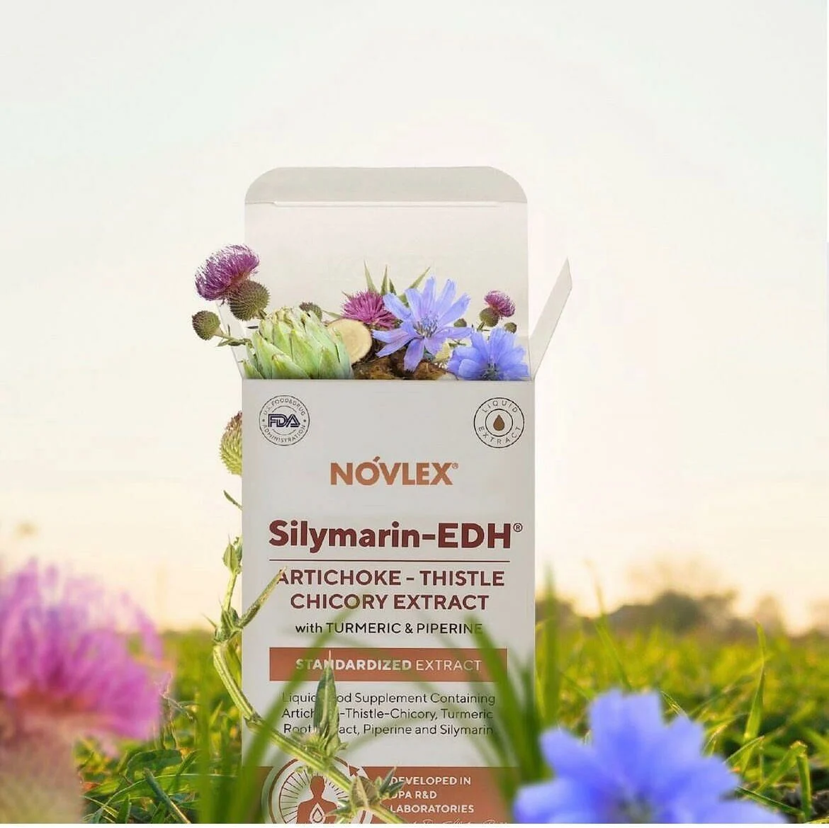 Novlex®%20Silymarin-Edh%20Enginar,%20Devedikenı%20(%80),%20Hindiba%20Ekstresi%20250%20Ml