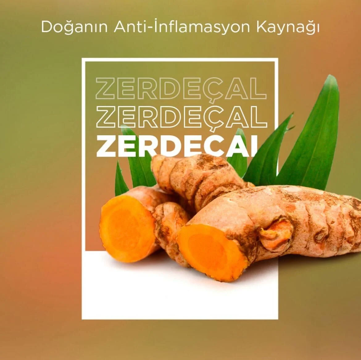 Novlex®%20Zerdeçal%20Ekstresi%20(%95)%20Ve%20Piperin%20250%20Ml
