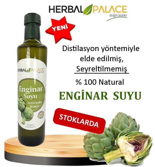 Herbal Palace Enginar Suyu 500 Ml